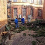 Tree felling services in Pretoria by Bramland